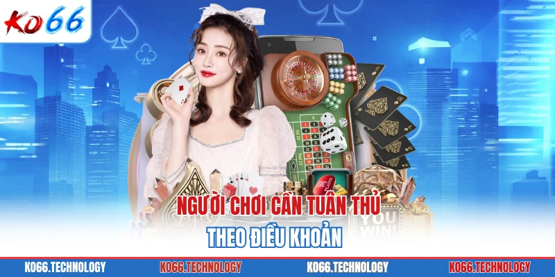 Người chơi cần tuân thủ theo điều khoản